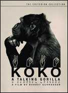 Buy Koko: A Talking Gorilla: Criterion Collection at Amazon