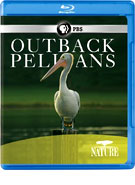 Buy Outback Pelicans (Blu-ray) at Amazon