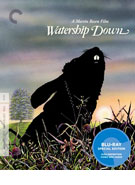 Watership Down (1978) (Blu-ray) Criterion Collection