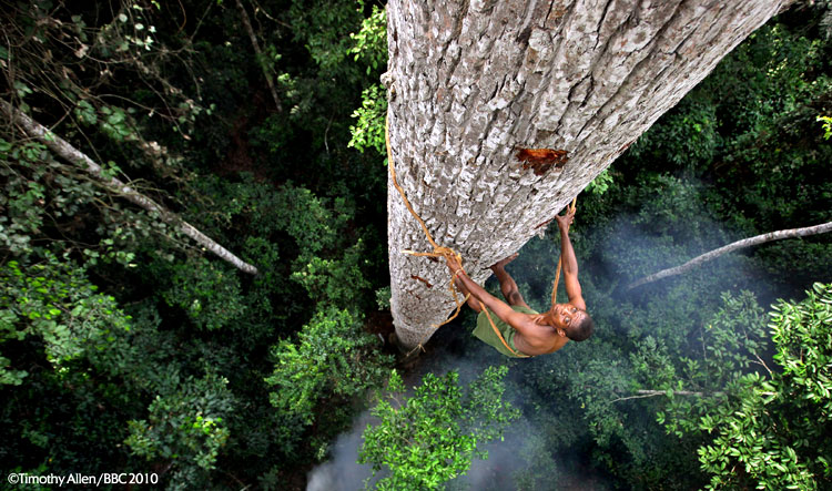 human planet jungles