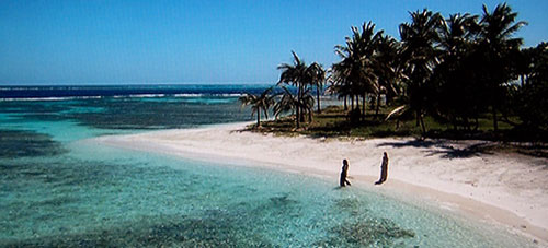 pirates standard dvd